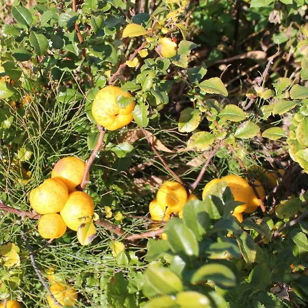 Moderne In Im Gruenen Apartman *