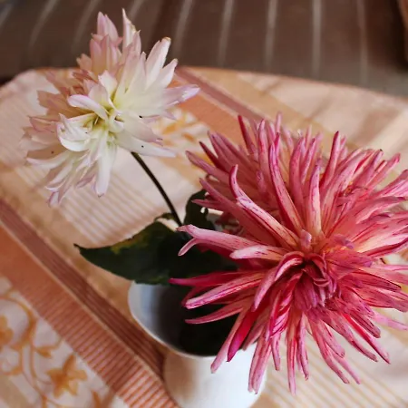 Moderne In Im Gruenen * Ostseebad Kühlungsborn