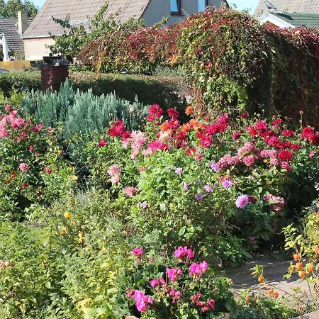 Moderne In Im Gruenen * Ostseebad Kühlungsborn