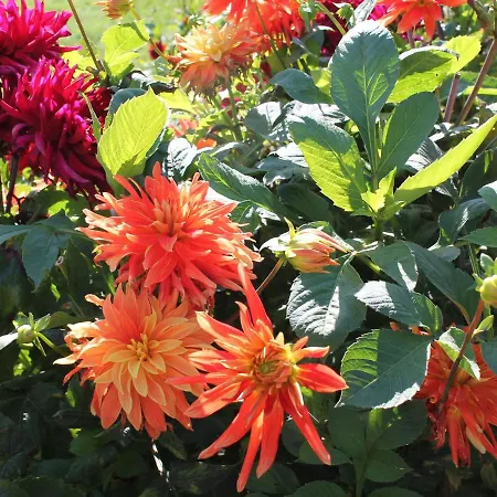 Moderne In Im Gruenen Ostseebad Kühlungsborn