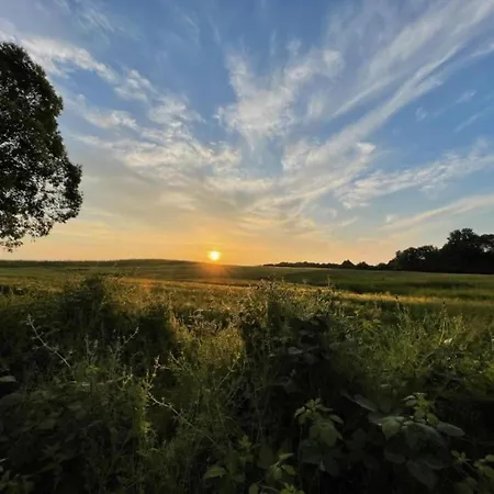 Lejlighed Moderne In Im Gruenen *