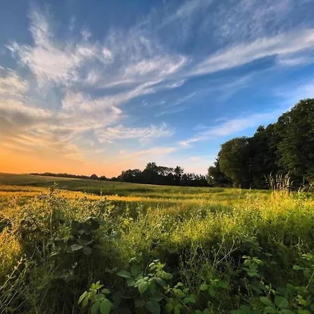 Moderne In Im Gruenen *