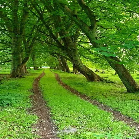Moderne In Im Gruenen Ostseebad Kühlungsborn