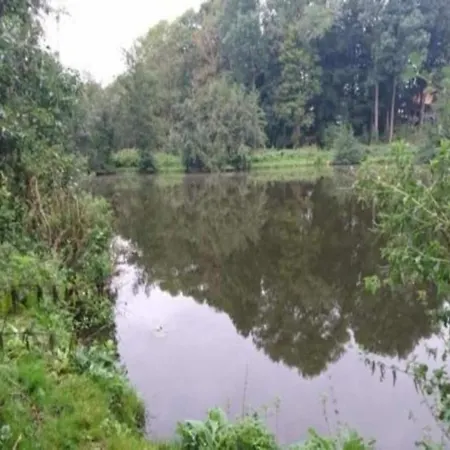 Moderne In Im Gruenen