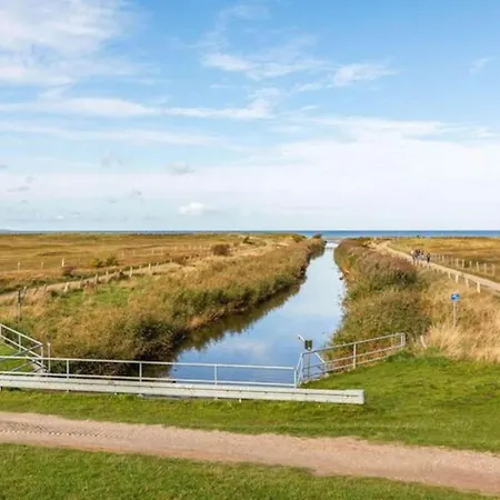 Moderne In Im Gruenen