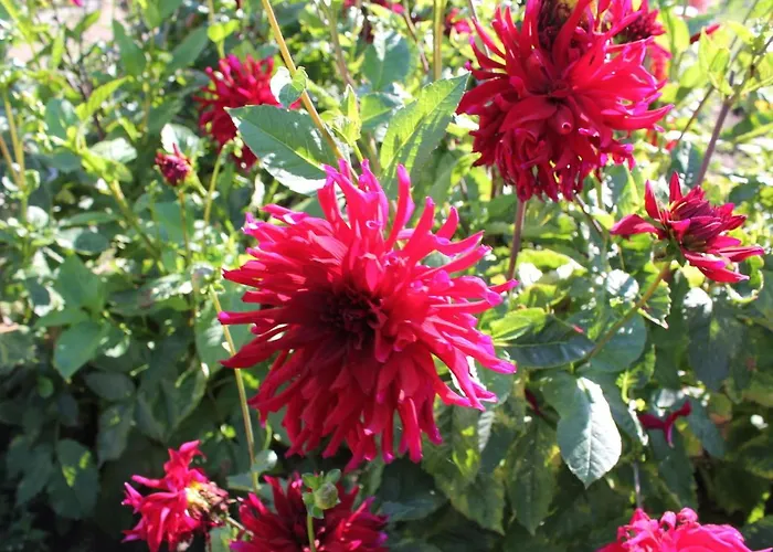 Apartamento Moderne In Im Gruenen