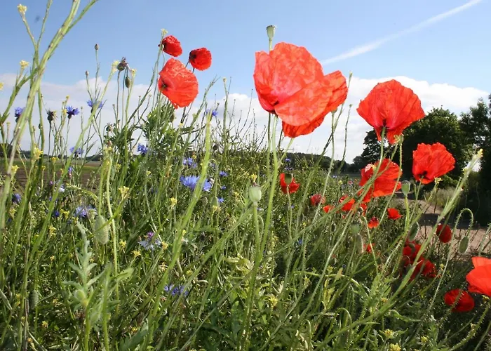 Apartamento Moderne In Im Gruenen *