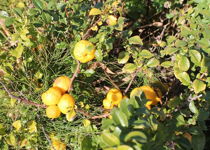 Moderne In Im Gruenen Apartamento *