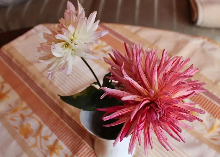 Moderne In Im Gruenen * Ostseebad Kühlungsborn