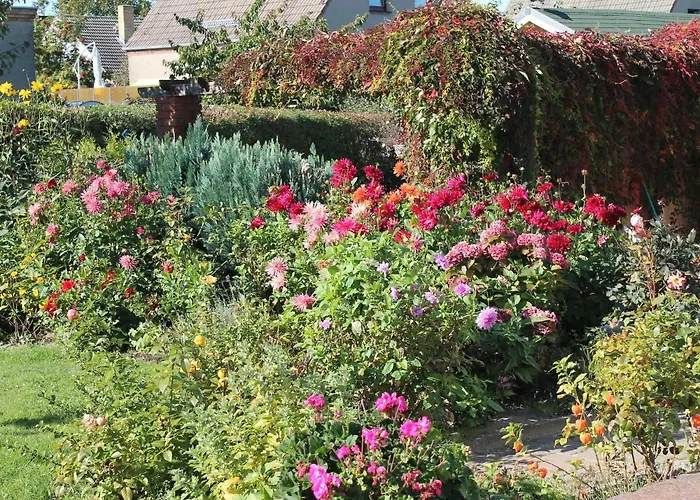 Moderne In Im Gruenen * Ostseebad Kühlungsborn