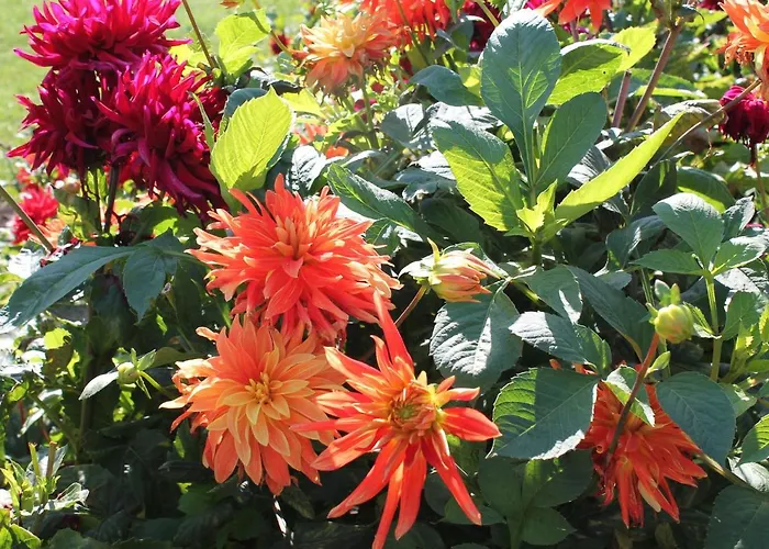 Moderne In Im Gruenen Ostseebad Kühlungsborn