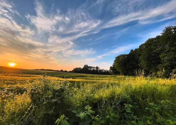 Moderne In Im Gruenen *