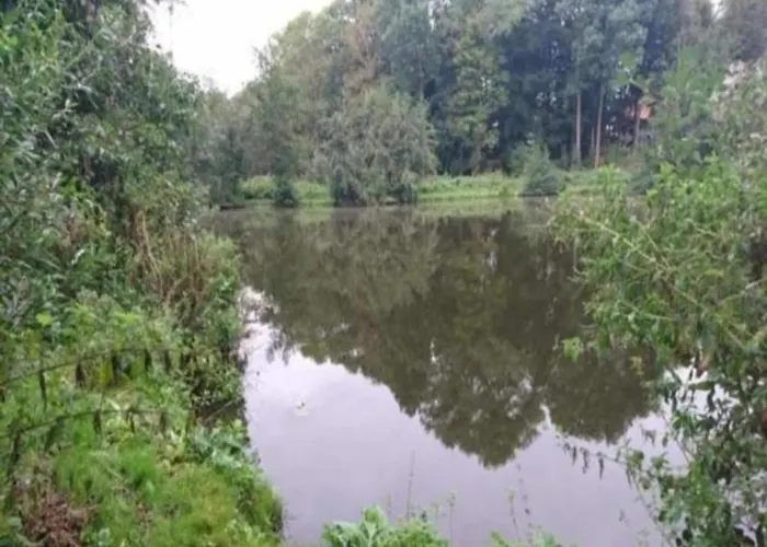 Moderne In Im Gruenen