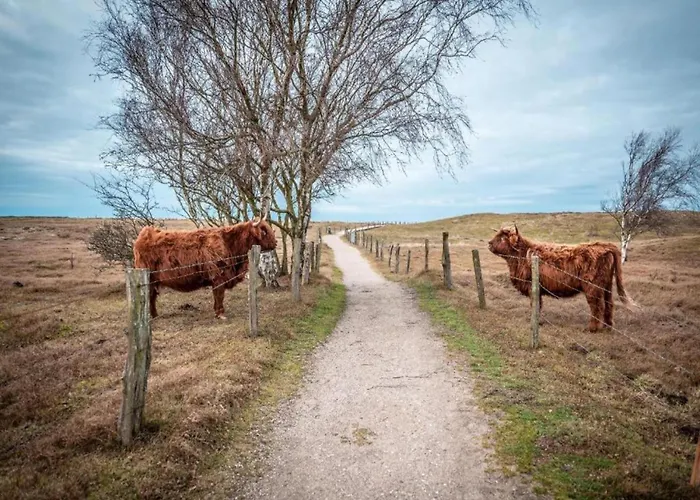 Apartamento Moderne In Im Gruenen