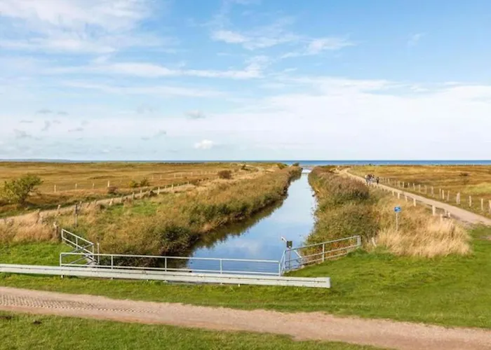 Moderne In Im Gruenen